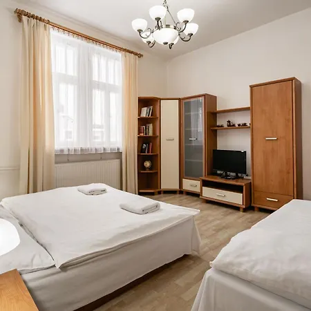 招待所 Vysehrad 3*